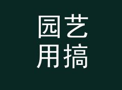 园艺用搞笑猫名生成器（进阶版）