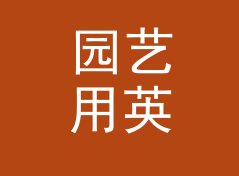 园艺用英文风笔名生成器（轻量版）