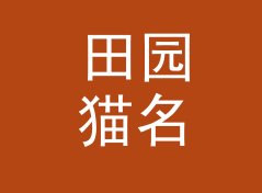 田园猫名生成器（专业版）