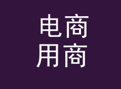 电商用商务网名生成器（速查版）