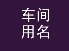 车间用名单随机抽取工具（轻量版）